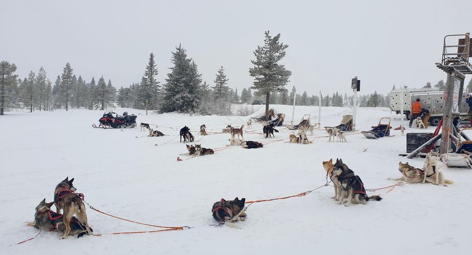 Zweden Nieuw 45 Zweden Nieuw 45